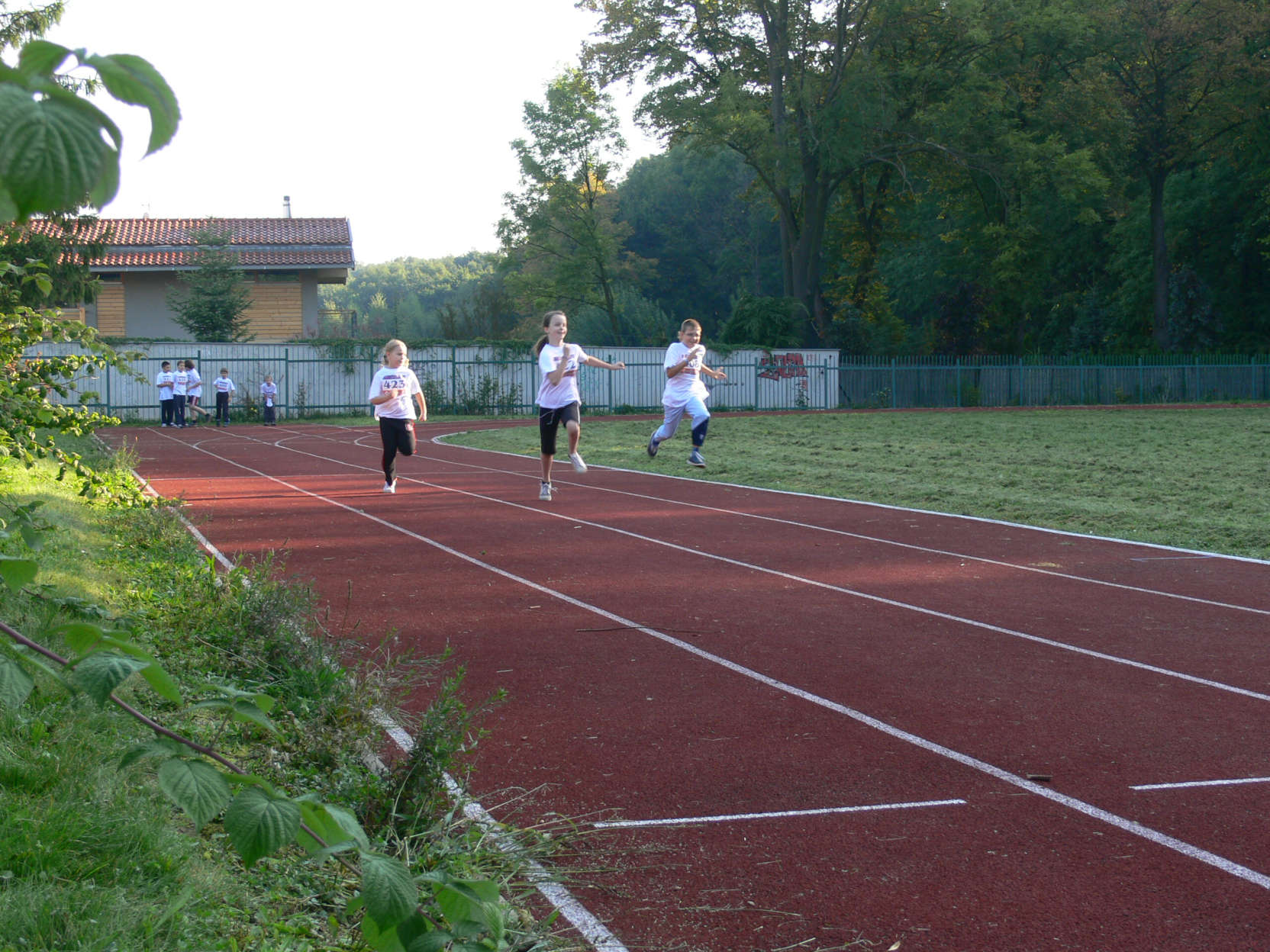olympiada201027