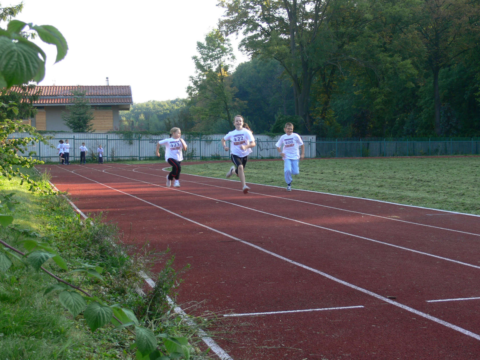 olympiada201028