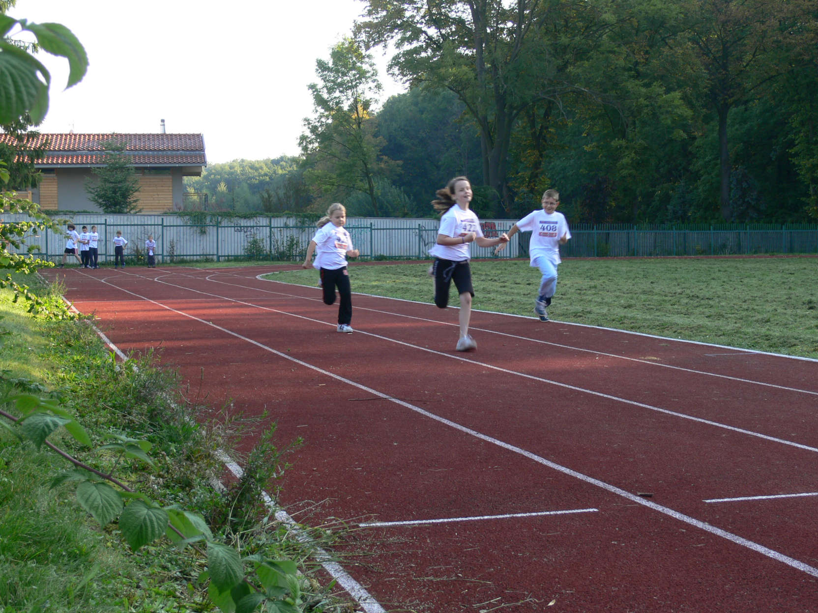 olympiada201029