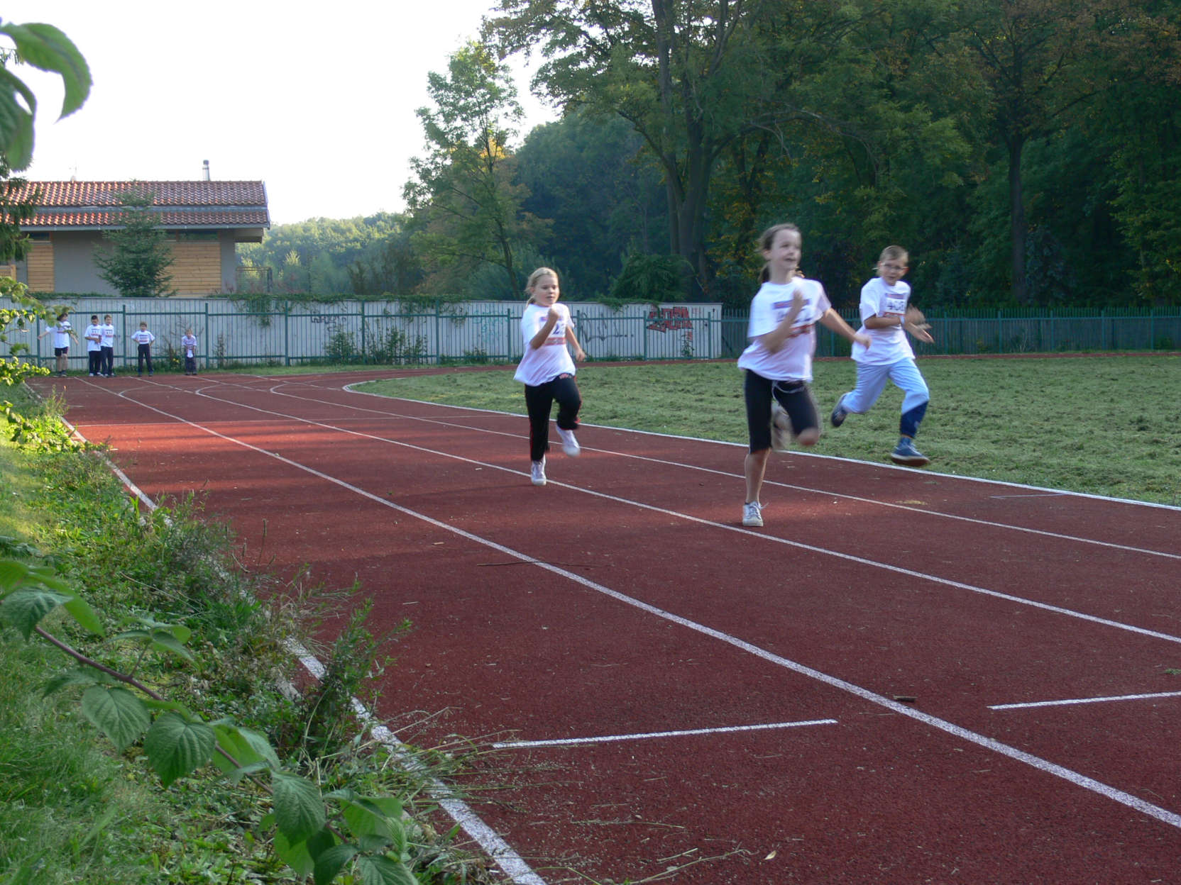 olympiada201030