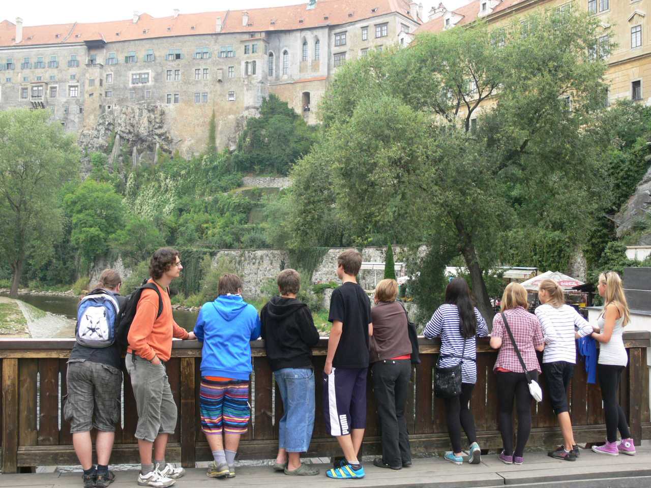 mameradikulturu