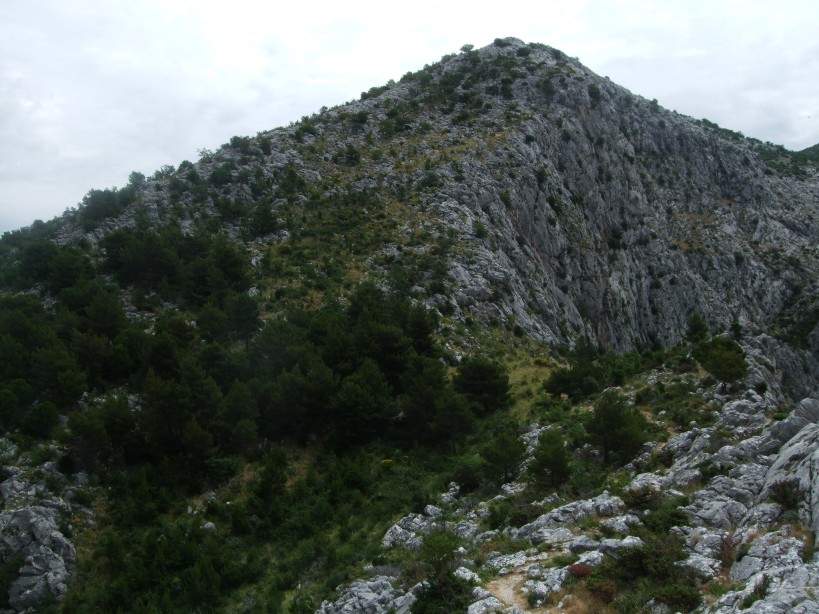 DSCF0187