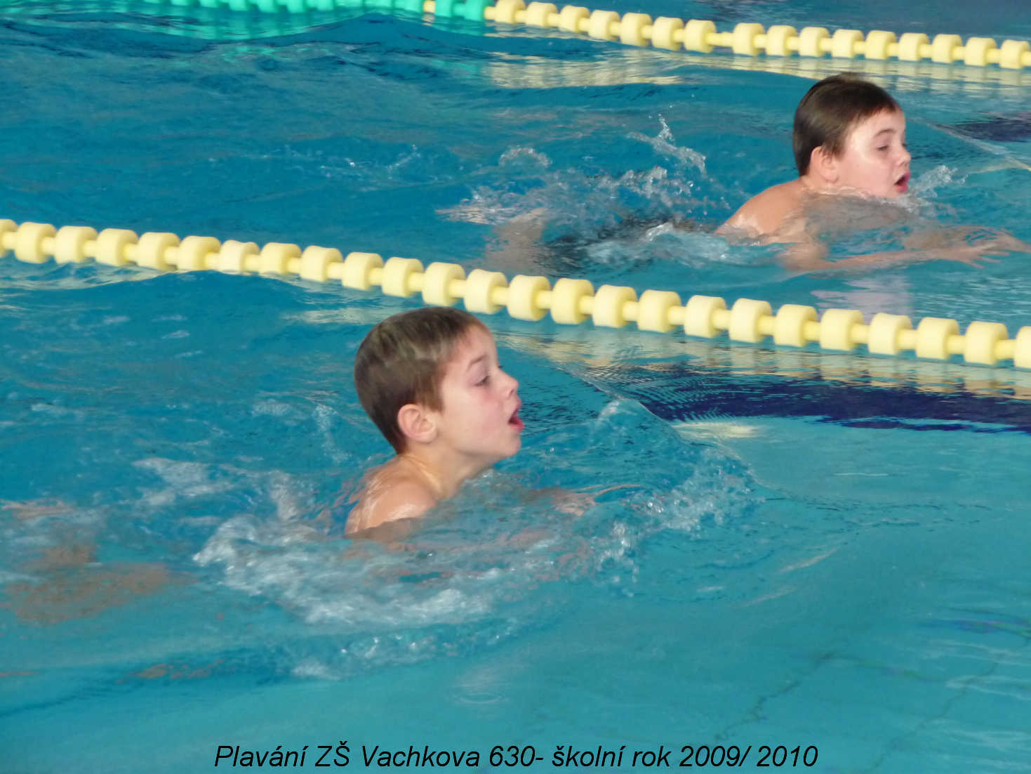plavani-vachkova15.jpg