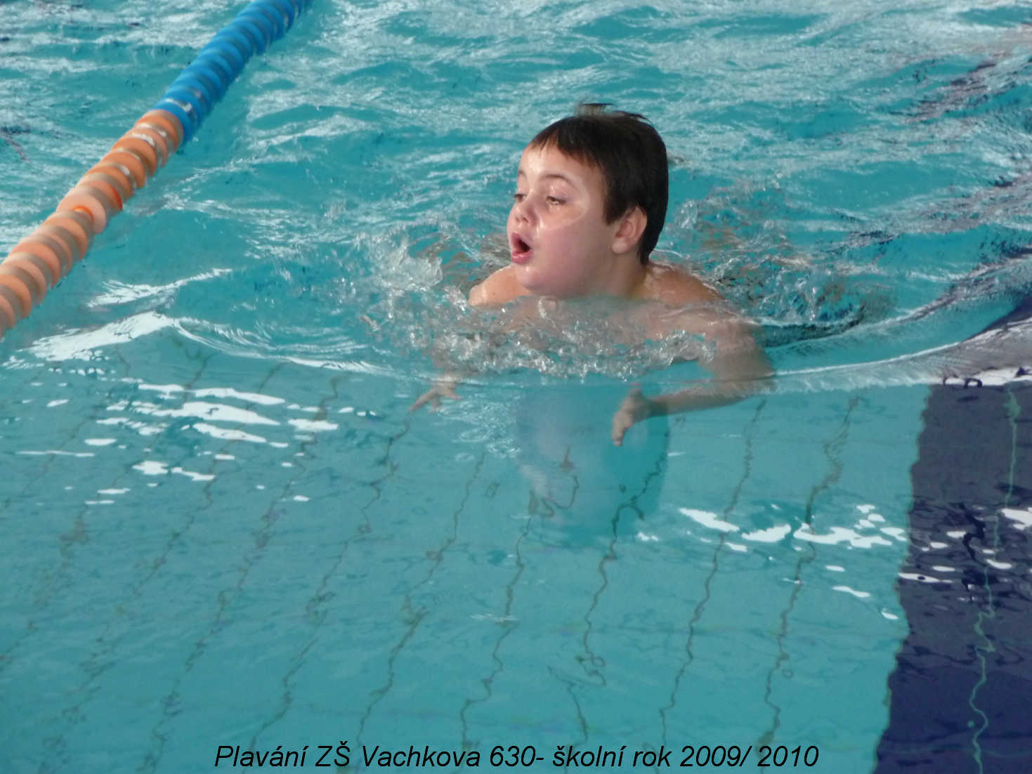 plavani-vachkova16.jpg
