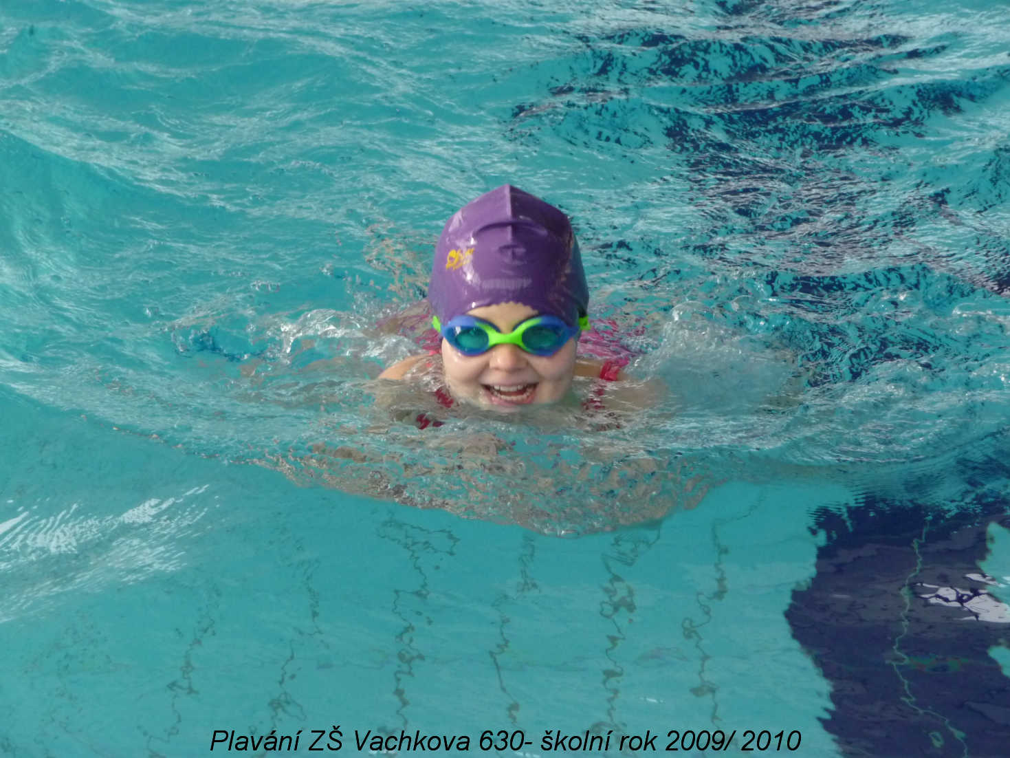 plavani-vachkova55.jpg